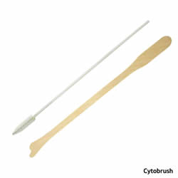 Endocervical Brush