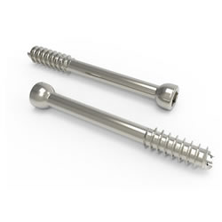 Cannulated screws